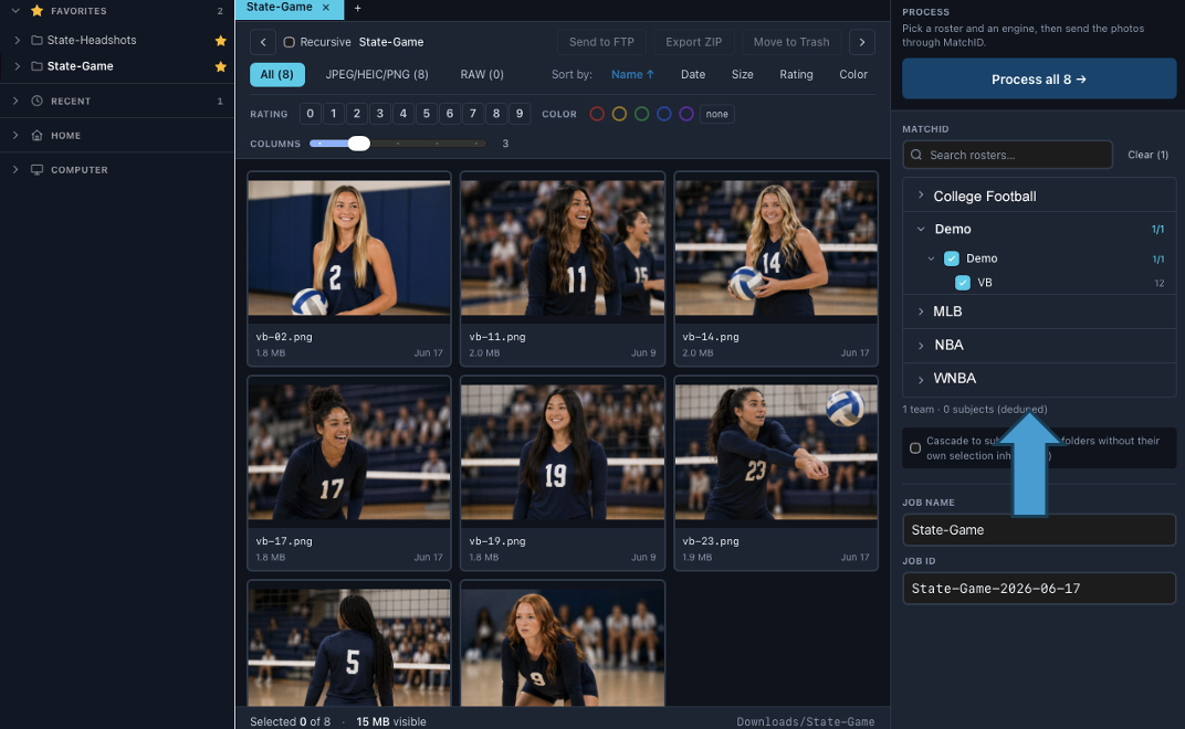 MatchID panel with organization and team selected and the Process button