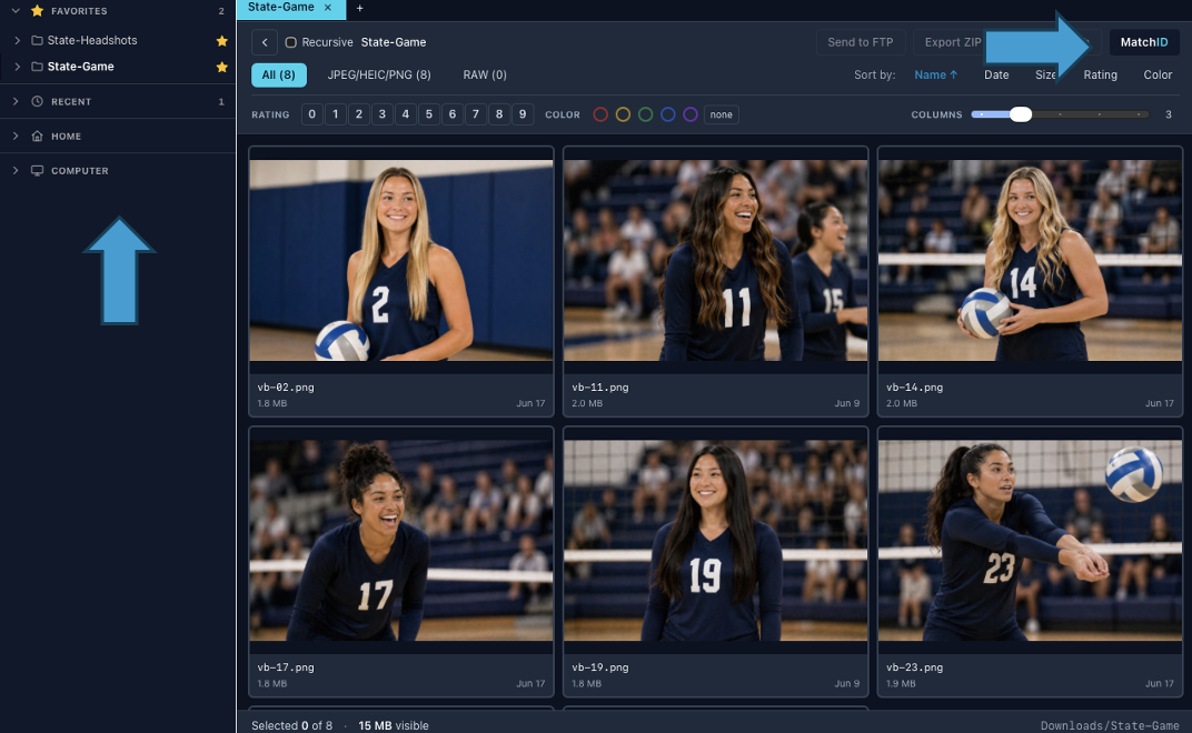 Browse with photos selected and the MatchID panel open