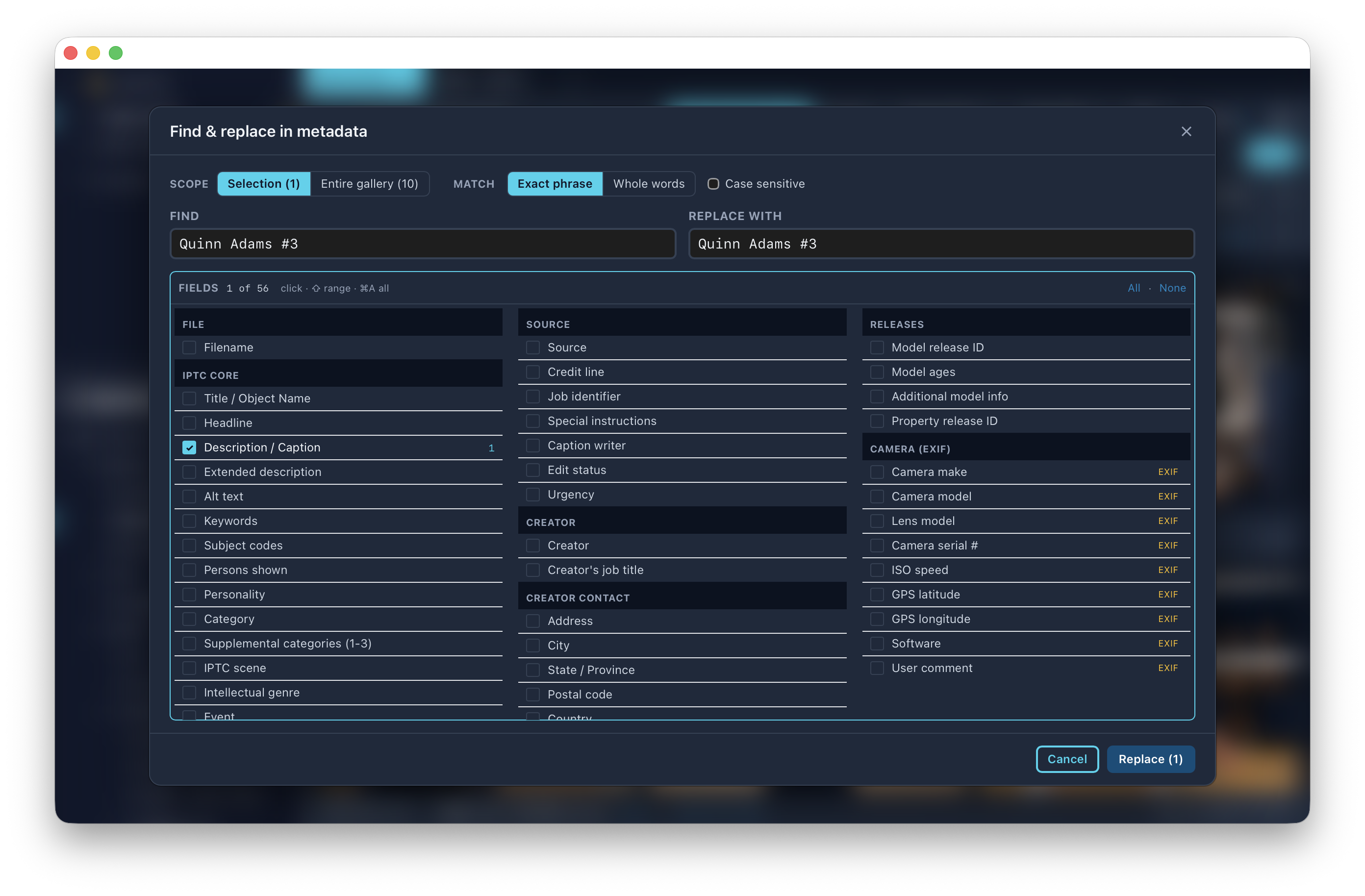 The Find and Replace in Metadata modal