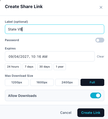 Create Share Link: label, expiry presets, max download size, downloads