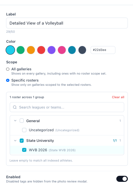 A scoped tag: Specific rosters, so it shows only on galleries matched against WVB 2026