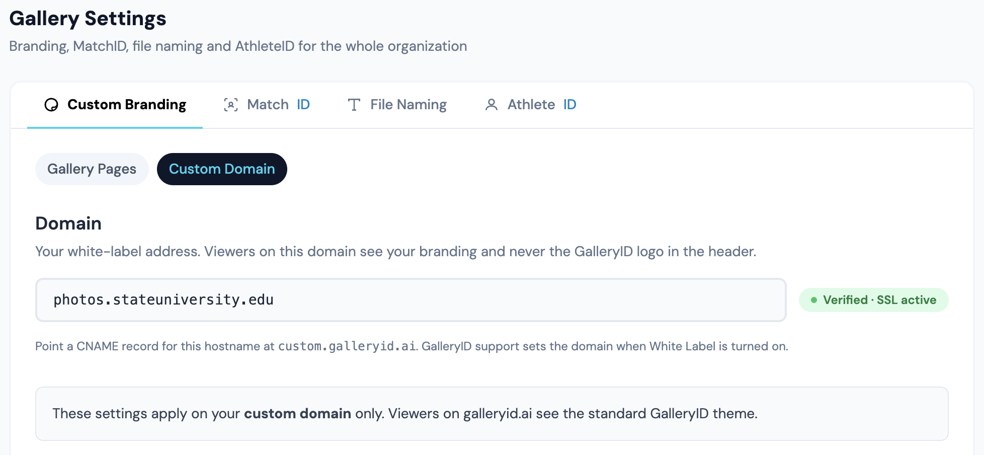Custom Domain: the verified domain, then the colours that apply only there