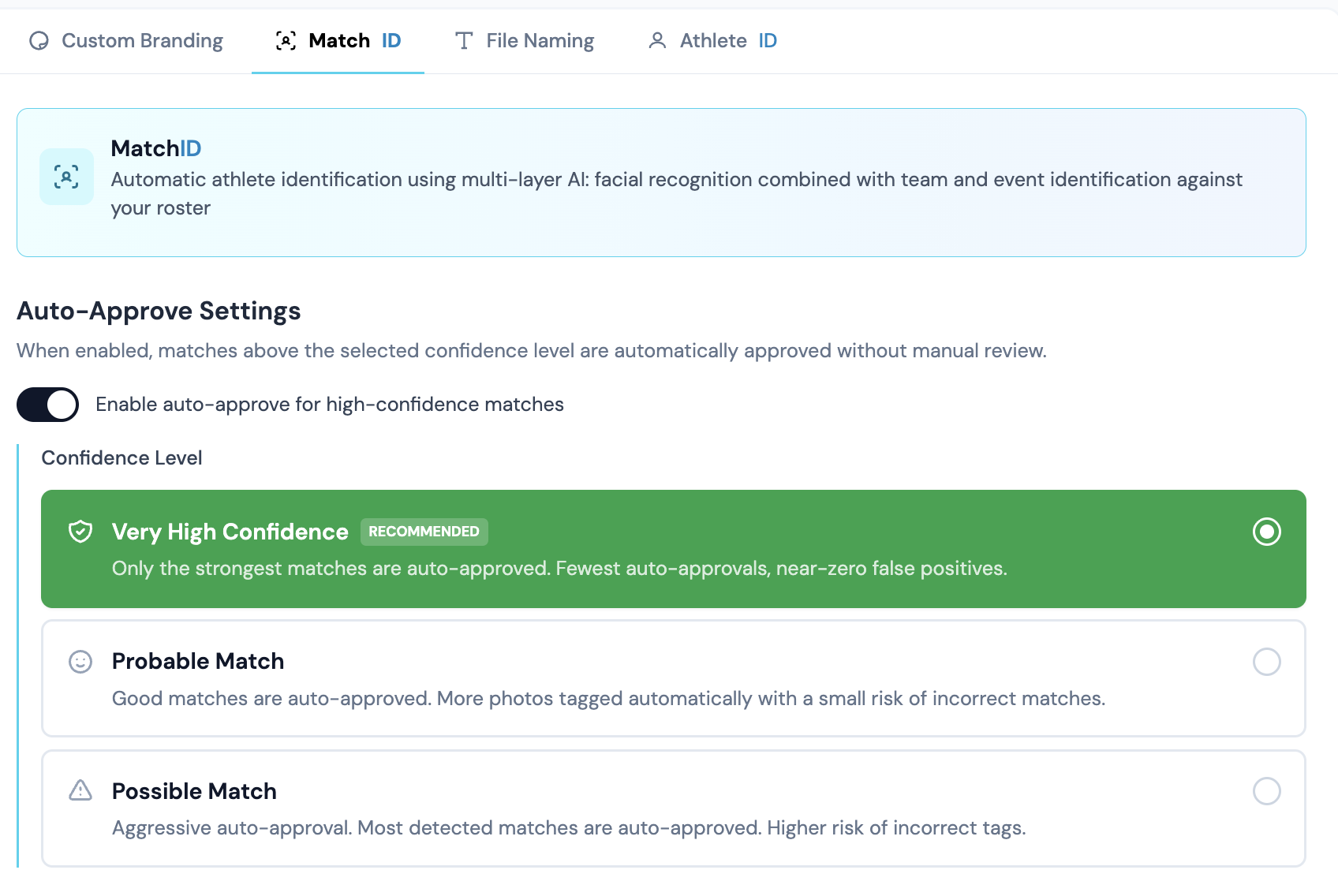Auto-approve on, with the three confidence levels