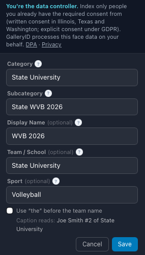 Category, subcategory, display name, team and sport filled in