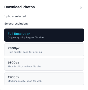 Pick a resolution for the download