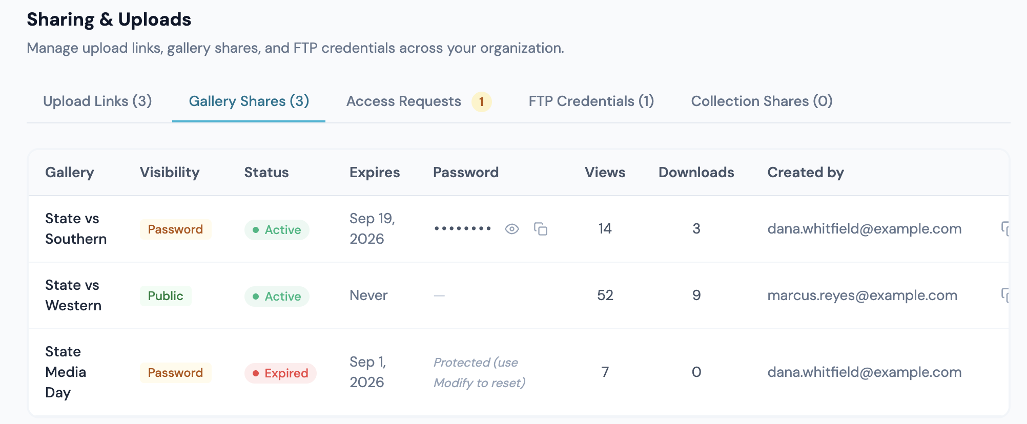 Gallery Shares on the Org Dashboard: visibility, status, expiry, password, views and downloads for each link
