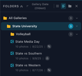 The sidebar in detail view: folder tree with counts and gallery status icons